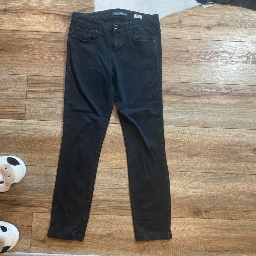 Level 99 black Lily Crop Skinny Straight Jeans